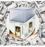 Phoenix Packloader Booster