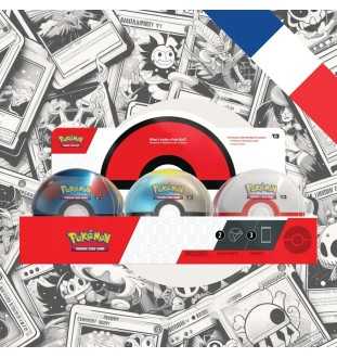 Case de 6 Pokeballs - 2024 (EB10 – EB11 – EV4)