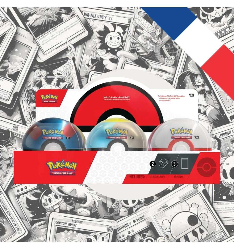 Case de 6 Pokeballs - 2024 (EB10 – EB11 – EV4) Case de 6 Pokeballs - 2024 (EB10 – EB11 – EV4)